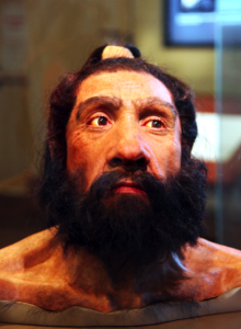 Homo_neanderthalensis_adult_male_-_head_model_