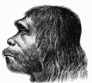 Neanderthaler_Fund