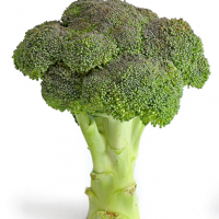 Broccoli